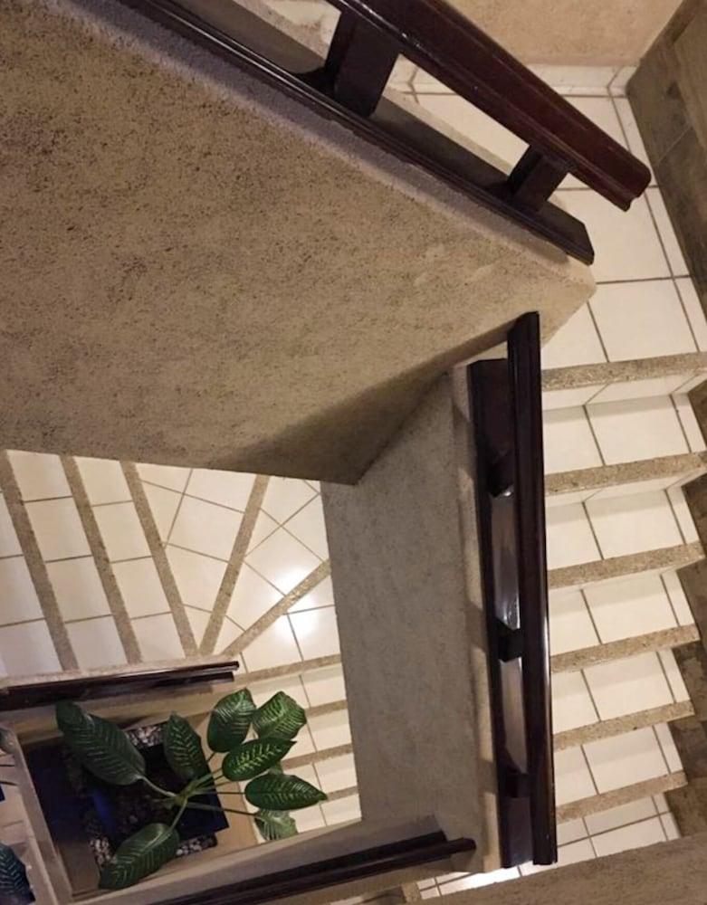Hotel Terranova León Dış mekan fotoğraf